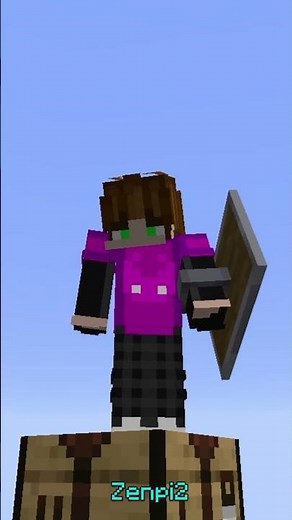 CUSTOM BANNER SHIELDS!?