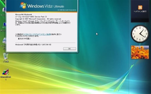 Monoxide.exe 一个屏幕花屏病毒