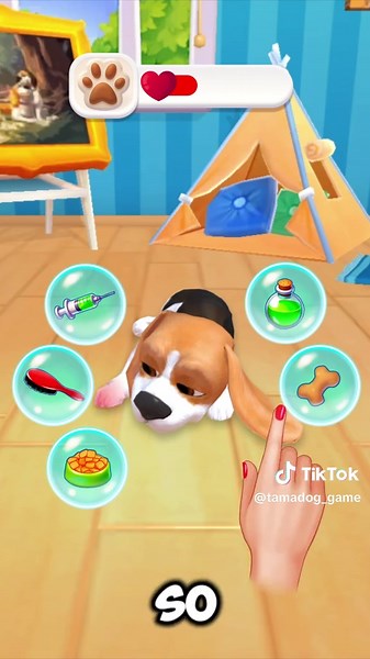 Caring for Your Virtual Pet: A Guide to Treating Pets
