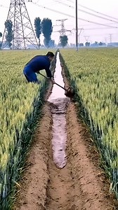 4.1K views | Beautiful Farming Methods #satisfying #shot #agriculture | Park Shin Hye International Fanclub | Facebook