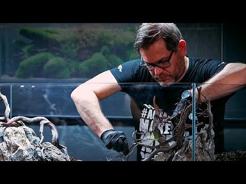 FILIPE OLIVEIRA AQUASCAPING WORKSHOP PART 1 - HARDSCAPE & LAYOUT