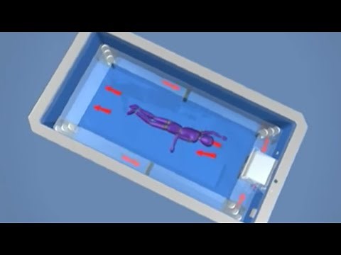 How The Endless Pool Works