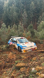 Crash of Peugeot 306 Maxi 🙈 Nuno Confraria & Ana Lemos | João Castro Pereira