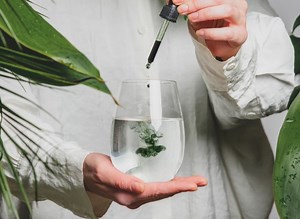 3 Benefits of Drinking Chlorophyll Water