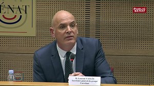 Carrefour : devant le Sénat, Laurent Vallée reconnaît « une erreur stratégique » au sujet des ex-mag