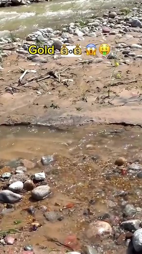 119K views · 1.6K reactions | Search for treasure: Golden Island | Treasure Hunter | Facebook