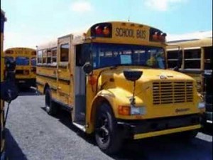 Bluebird and AmTran School Buses Slideshow
