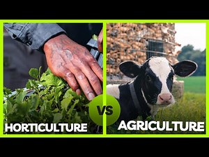Horticulture vs. Agriculture: You Won't Believe the Surprising Secrets We Unearth!