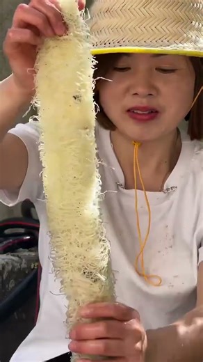 Women Power in Agriculture: Traditional Luffa Processing from Farm Taseall