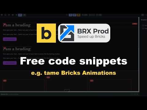 Free Code Snippets Inside BRX Productivity (Bricks Builder)