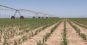 Smart farming: UArizona initiative conserving 30  percent water used on farms
