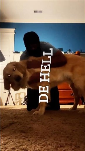 I tried the 30 Day Push Up Challenge Day 3 Active Rest #motivation #discipline #mobility #chest