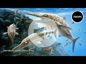 ‘Stealth flippers’ helped this extinct mega-predator stalk its prey