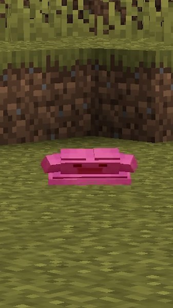 Dramatic Ditto Faint in Cobblemon Minecraft Server