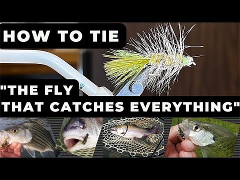 How to tie "The Fly That Catches Everything"