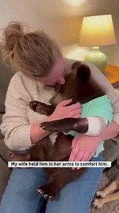 A bear cub escaped from a truck #shorts