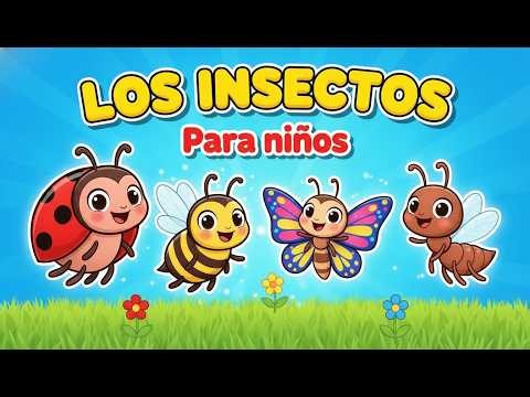 Insects 🐜 🐞 and Animals | Educational Video for Toddlers | Funny Cartoons