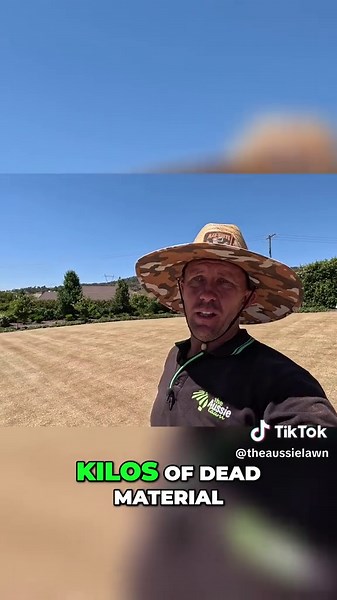 Dethatching Lawn Treatment: Watch the Transformation! Revitalize your lawn with our post-dethatching treatment! See our lawn transformation with the application of topsoil or fertilizer after dethatching. Watch the lawnmower in action and witness the difference in treated areas! #LawnCare #Dethatching #LawnTreatment #YardWork #HomeImprovement #GardeningTips #LawnMaintenance #Fertilizer #Topsoil #HealthyLawn