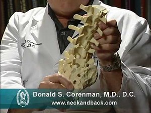 Understanding how the Lower Back Functions | Anatomy of the Lumbar Spine | Colorado Spine Expert