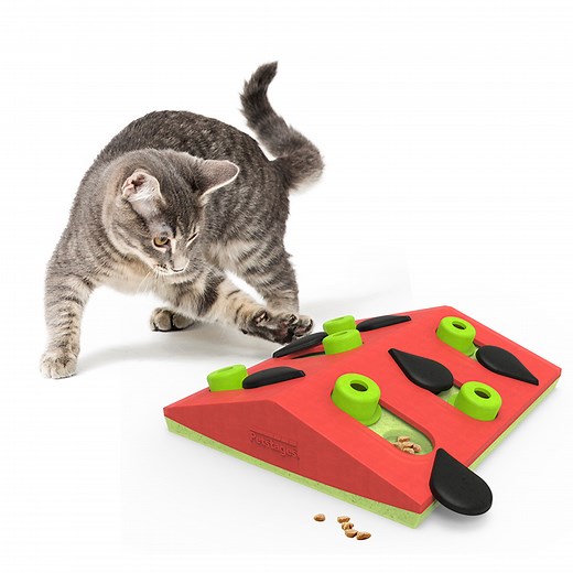 MELON MADNESS PUZZLE & PLAY  - CAT PUZZLE GAME  - Nina Ottosson Treat Puzzle Games for Dogs & Cats