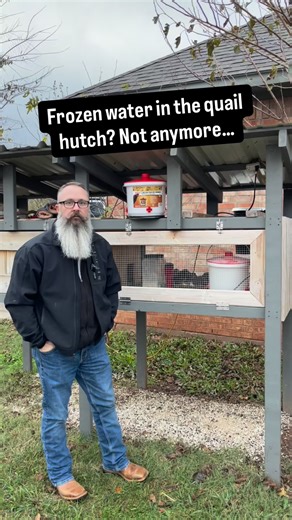 Eric & Melissa | Raising Coturnix Quail | Farmsteader Rookies on Instagram: "Keeping quail watered in winter doesn’t have to be a struggle. This heated waterer has been a game-changer for our Coturnix crew—no more freezing buckets, no more daily hacks. Simple, clean, reliable. Your birds will thank you! ❄️🐦🔥 #QuailKeeping #CoturnixQuail #UrbanHomestead #BackyardHomestead #SmallScaleFarming #HomesteadLife #WinterHomesteading #FarmsteadLiving #RaiseYourOwnFood #ModernHomesteader"