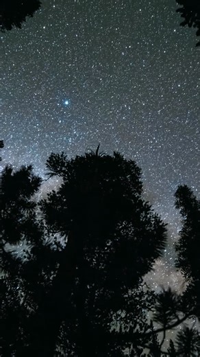 Celebrate Space Week 2025! From Sept 18–28, dive into the mysteries of the universe on Curiosity Stream  ✨ Special Offer: Unlock 20% OFF annual plans with code SPACEWEEK20 ✨ From black holes to distant galaxies, your cosmic adventure starts now. Don’t miss out — start your cosmic journey today when you tap the link in our bio! #spaceweek #curiositystream #watchandwonder #explorespace #spaceweek20205 | Curiosity Stream | Facebook