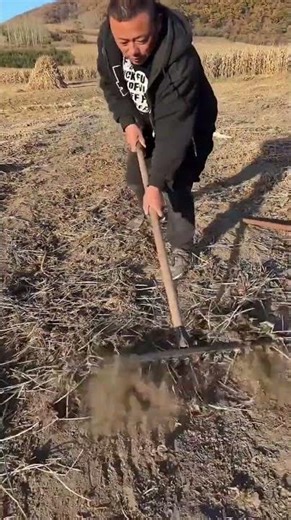 #automobile #foodproduction #amazingmachinery #machinerychannel #agriculture #farm #foodindustry