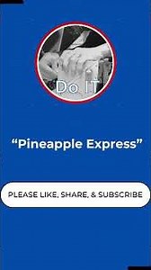 Pineapple Express - Song about The Secret Mission That Saved Lives