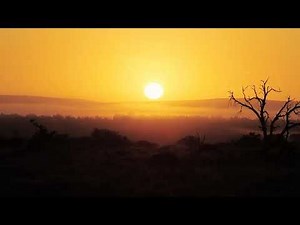 Breathtaking Golden Sunrise Royalty Free Nature Stock Footage