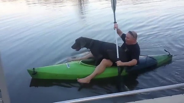 Great Dane Rides Kayak