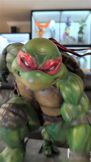 Teenage Mutant Ninja Turtles Raphael