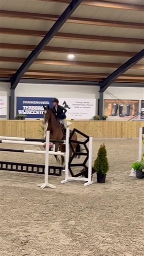 Cosmo H ⭐️ (Catoki x Concorde) Cosmo jumped unreal in today’s 1,35 1 little miscommunication. Cosmo did some airtime 🚀# He wants to do some bigger classes so 🔜 we will make my 1,40 debut 🔥 #cosmoH❤️ ##wilschutstables