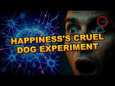 Learned Helplessness — The Cruel Experiment That Cracked the Code on Happiness