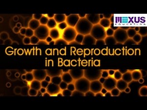 Growth and Reproduction in Bacteria