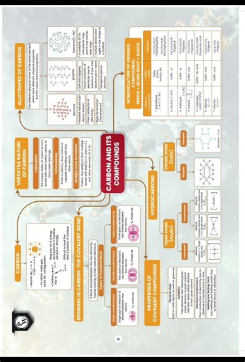 Class 10 Science One Page Notes of Ch 4