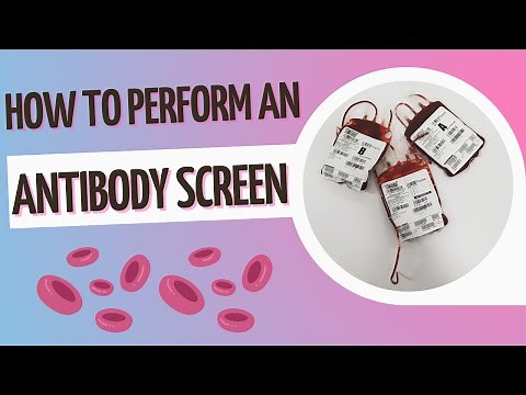 How to Perform an Antibody Screen-Tube Method