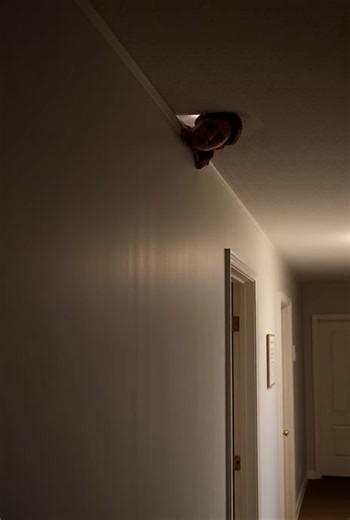 Chilling Scary Stories to Haunt Your Nights