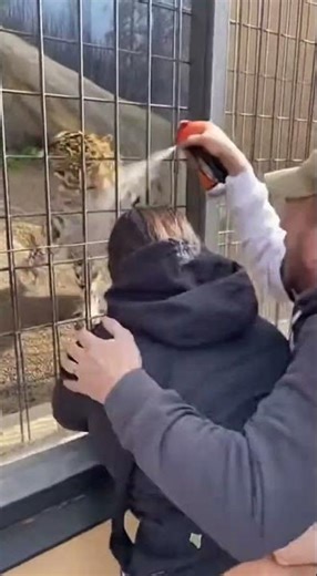 Man SPRAYS Leopard - SAVES Tourist 😱🔥 #viral #shorts