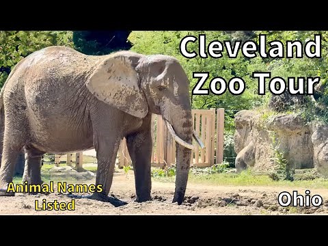 Tour of the Cleveland Metroparks Zoo - Cleveland, Ohio - USA