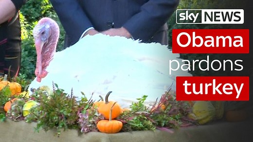 Barack Obama has pardoned his last Turkey as President of the United States | Sky News