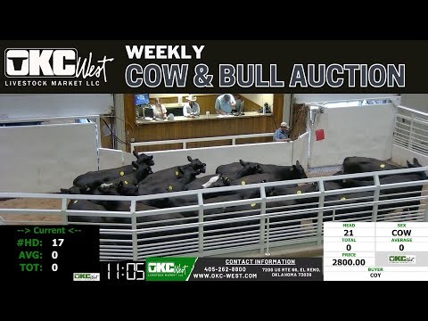 9/9/2024 - OKC West Weekly Cow & Bull Auction