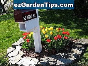 Idées d'aménagement paysager de boîte aux lettres 🌱 Conseils Jardiniers - Fr.ezGardenTips.com