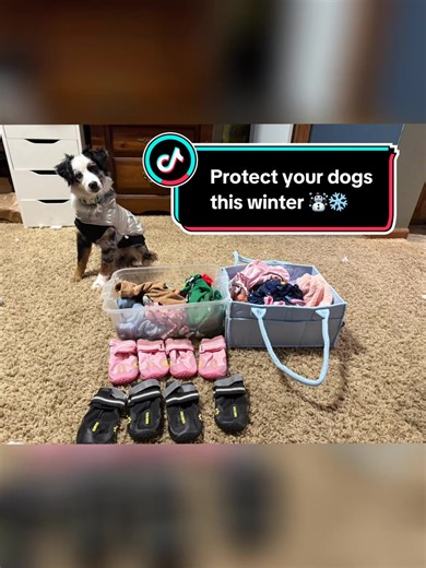❄️ During winter, maintaining a dog's paw health and safety is crucial due to various environmental challenges. The cold weather, coupled with ice, snow, and de-icing chemicals, can lead to significant discomfort and potential injuries for canine companions. While a dog's paw pads possess a unique counter-current heat exchange system that helps regulate their temperature in cold environments, they are not impervious to the harsh conditions of winter. ❄️ Owners must be vigilant in identifying ris