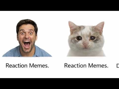 Every type of meme explained in 4 mins