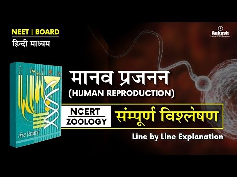 Human Reproduction (मानव जनन )| NCERT Biology Line by Line Explanation in Hindi #neet2026 #zoology