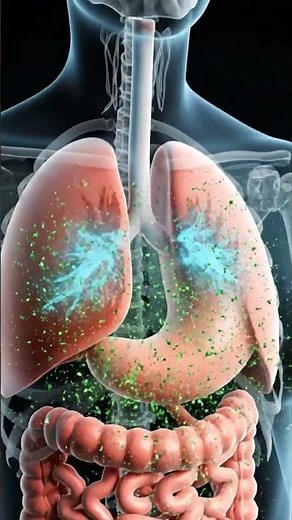 What Happens Inside Your Body When You Eat Mint? 🌿😱 | 3D Animation