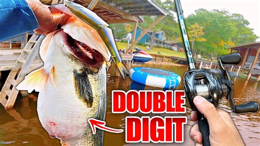 Record day swimbait fishing produces multiple double-digit bass