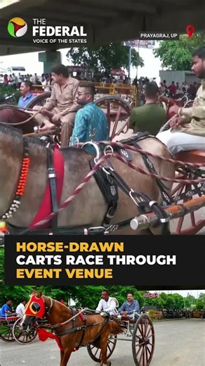 Traditional ‘Gahrebaazi’ horse race draws crowds in Prayagraj | #shorts