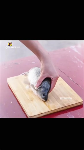 حكاية سمكة مرتبطة بحياة والده