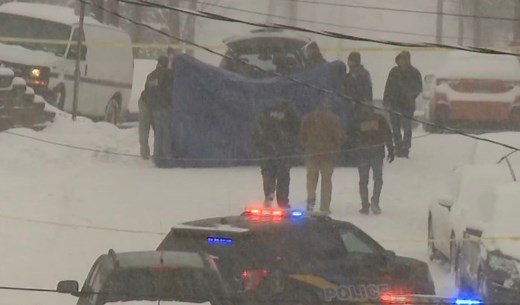 Neighbor shoots couple dead then kills himself over snow shovel dispute